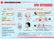 ПВ05 Первая помощь при чрезвычайных ситуациях (самокл.пленка, А3, 9 листов) - Плакаты - Медицинская помощь - магазин "Охрана труда и Техника безопасности"